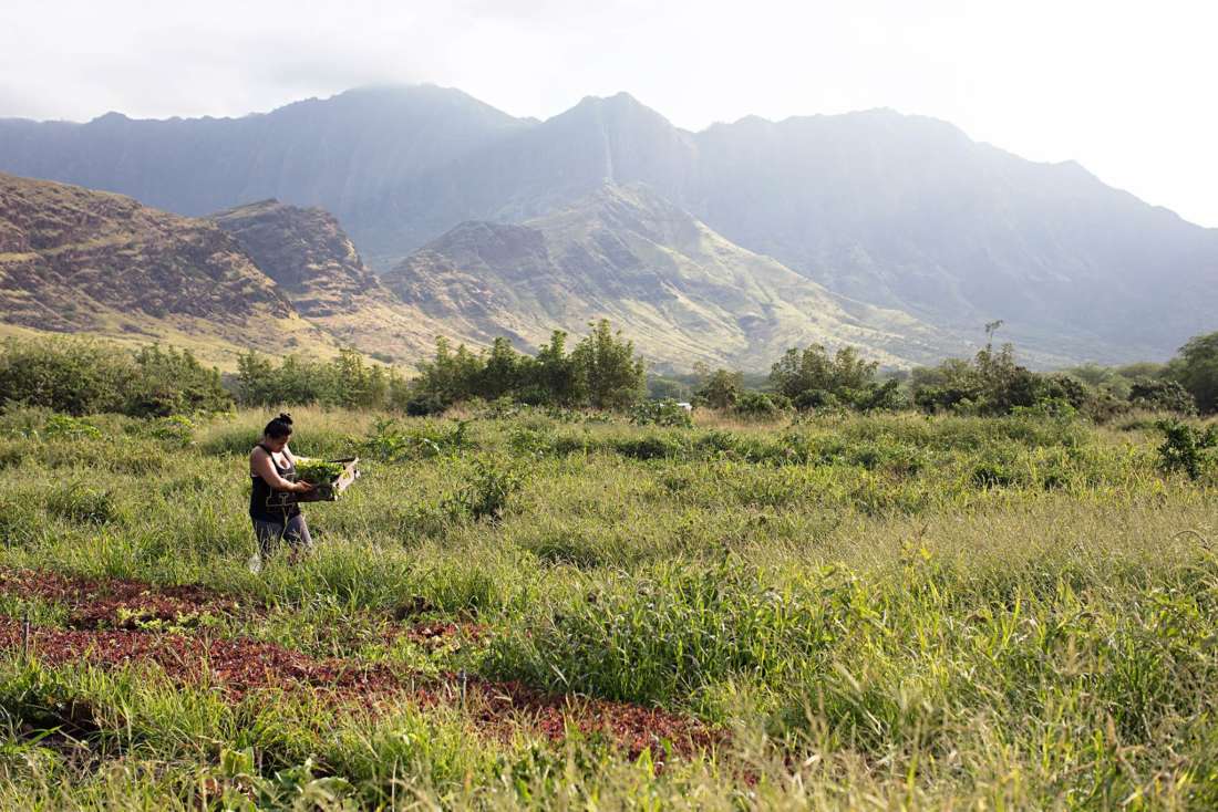 The Farm that Grows Youth