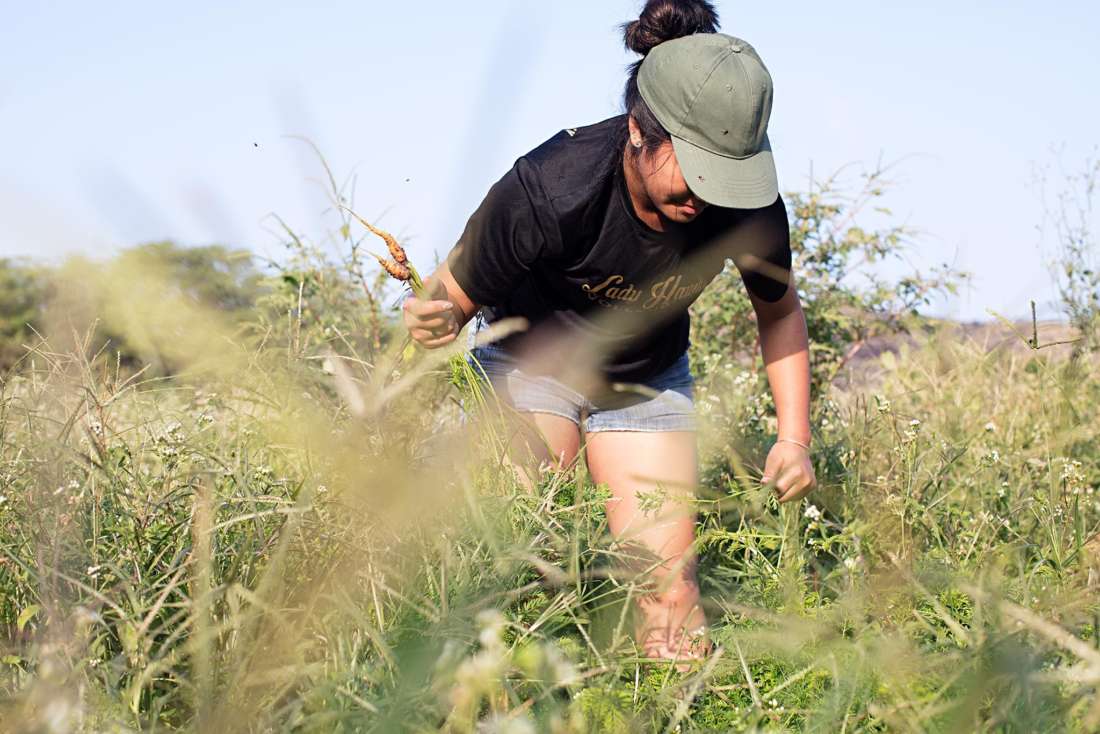 The Farm that Grows Youth