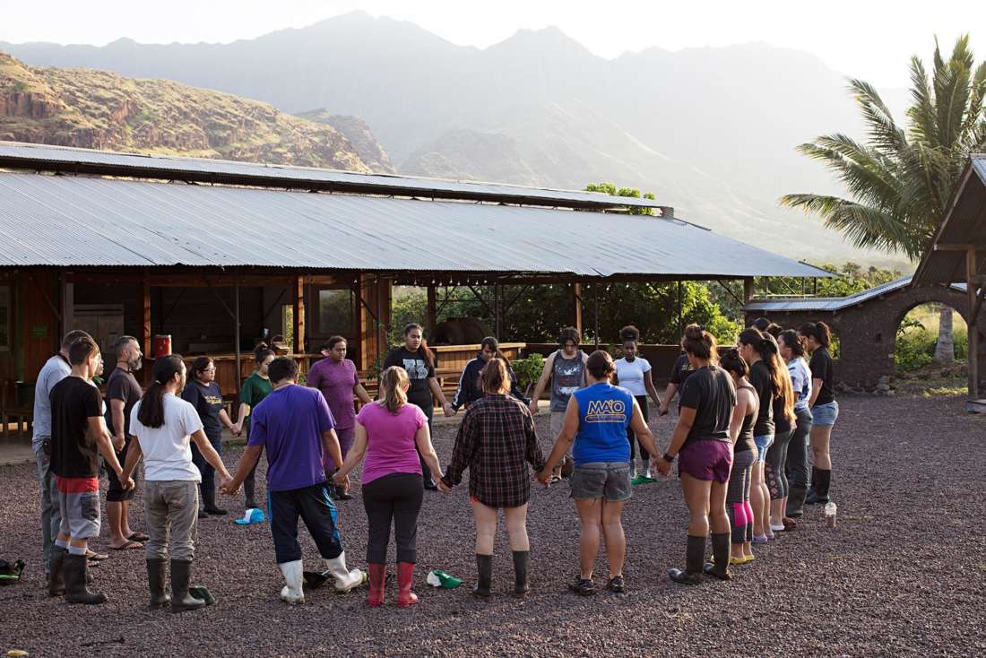 The Farm that Grows Youth