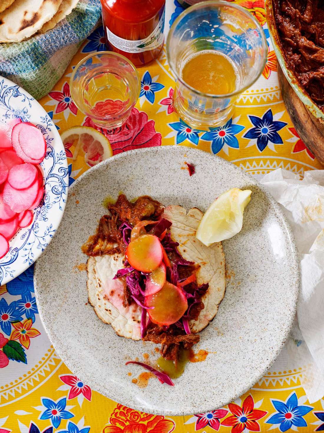 Carne Deshebrada en Salsa Roja