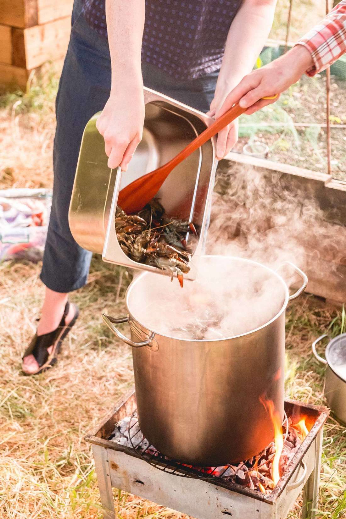 Summer seafood boil