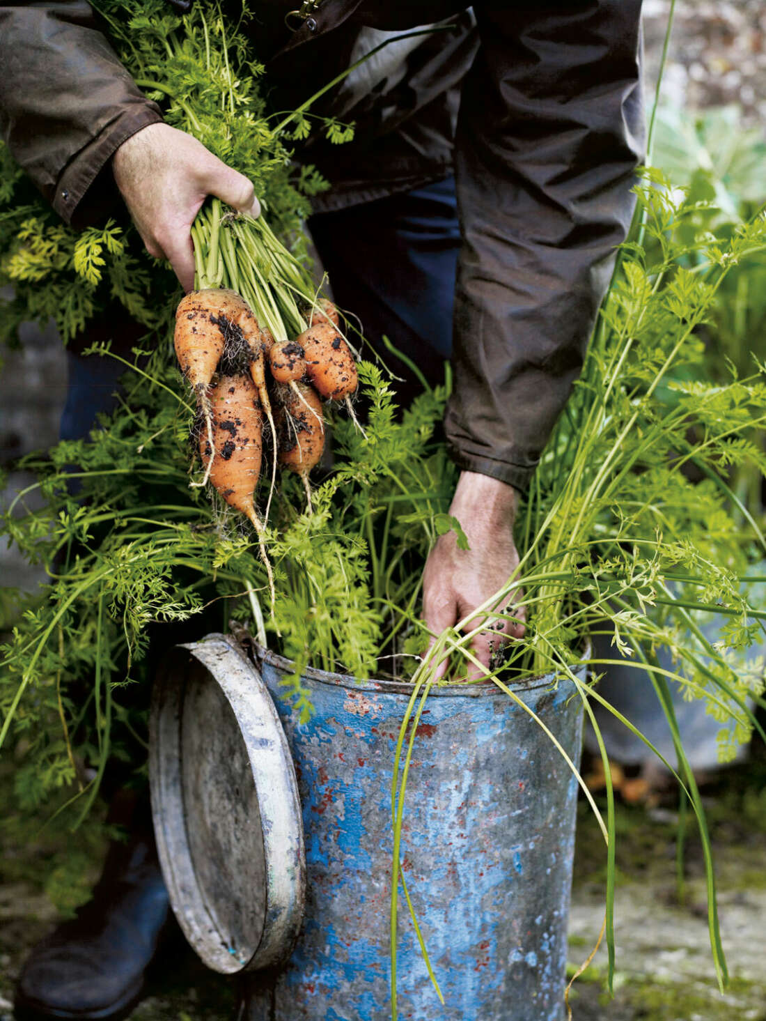 Growing fruit and vegetables in pots at the Great Dixter