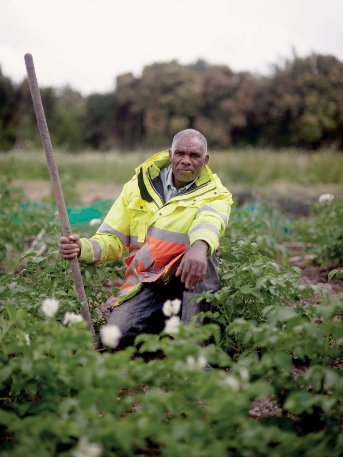 Setting Down Roots in West Auckland