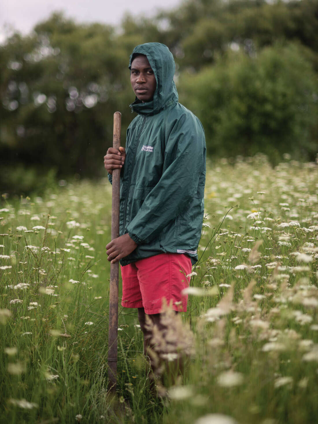 Setting Down Roots in West Auckland