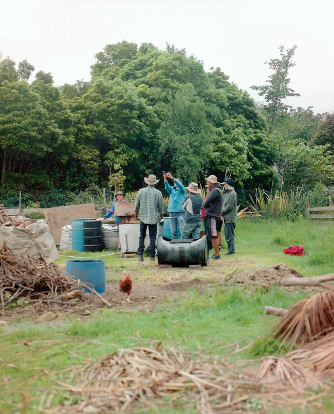 Liberating local food from lockdown