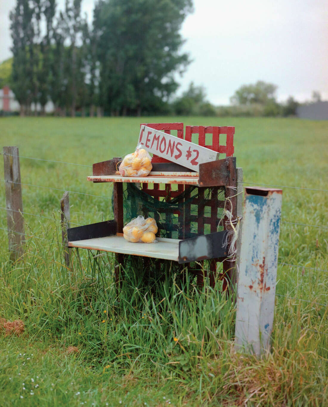 Liberating local food from lockdown