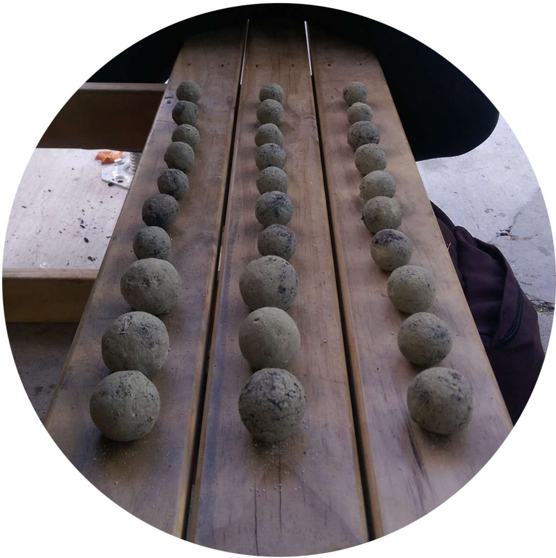 Clay seed balls – à la seed truffles