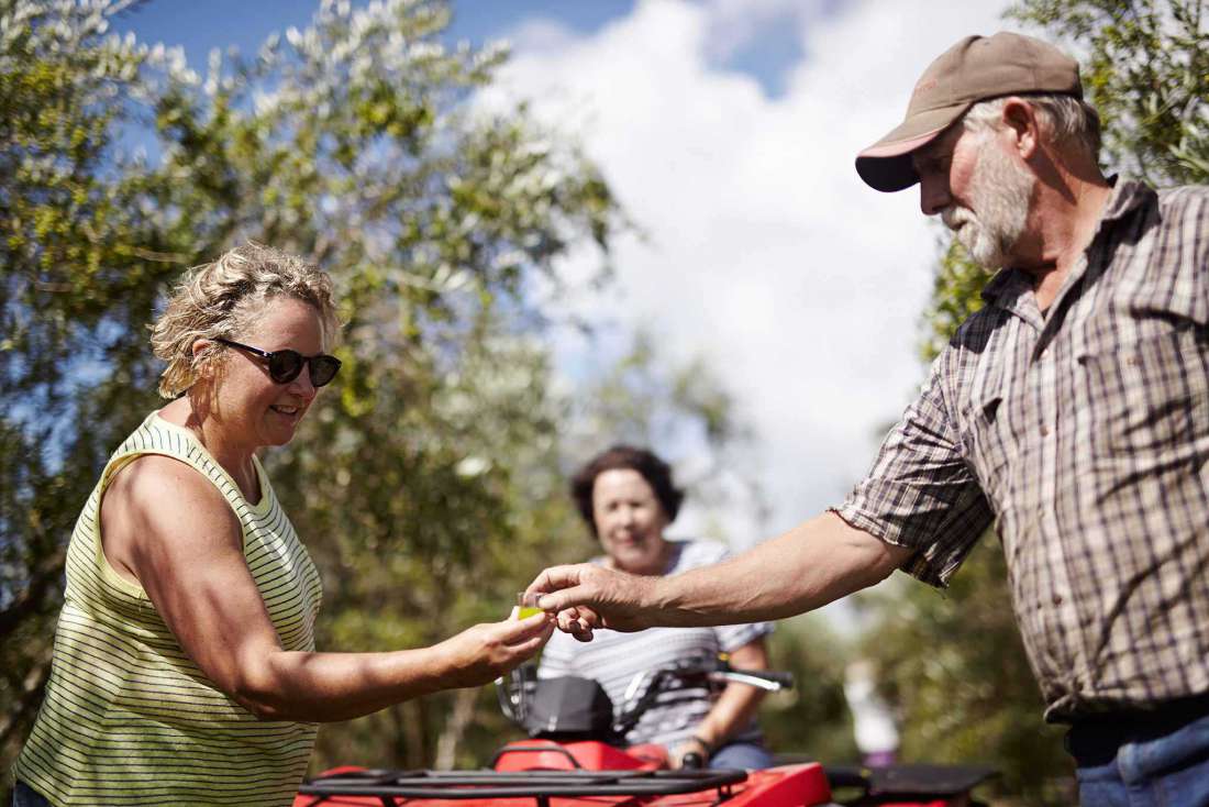 Olive Harvest