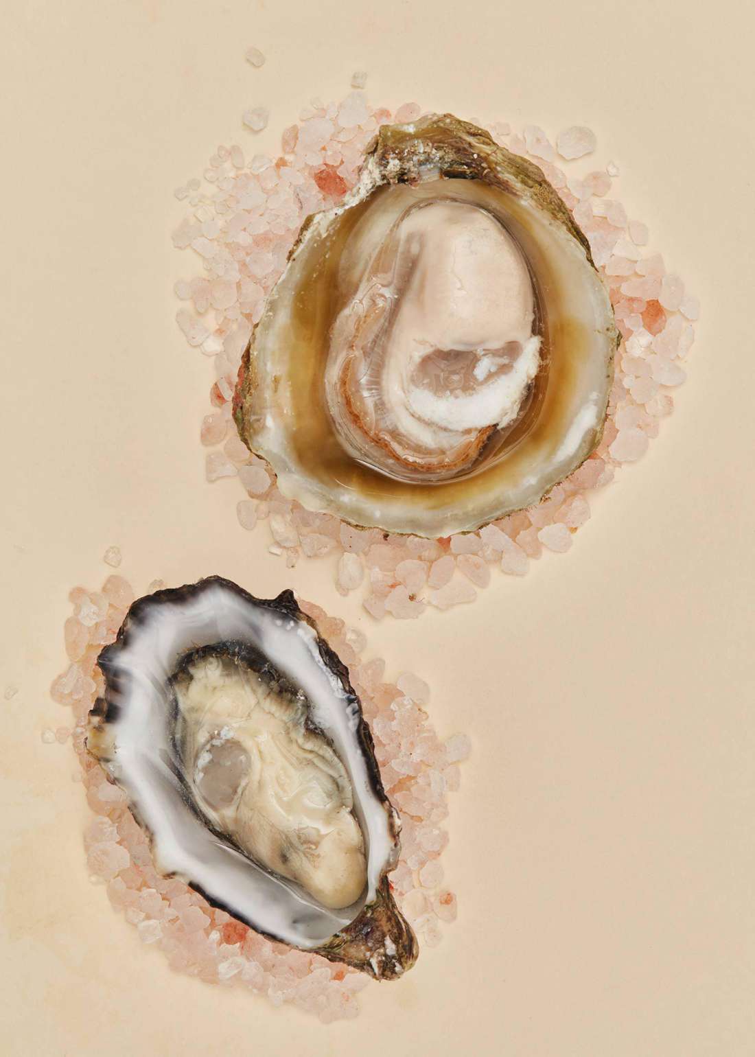 Oysters